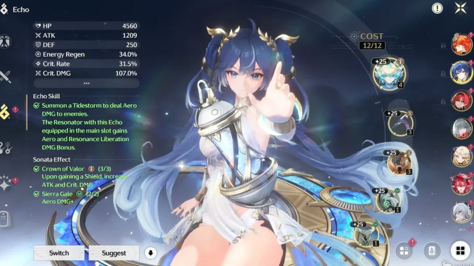 适合所有角色的最佳回声集 适合所有角色的最佳回声集