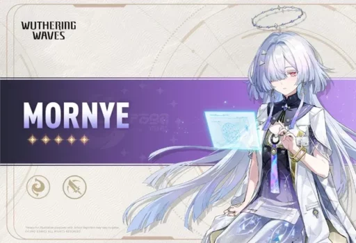 最佳回声套装、武器和团队 最佳回声套装、武器和团队