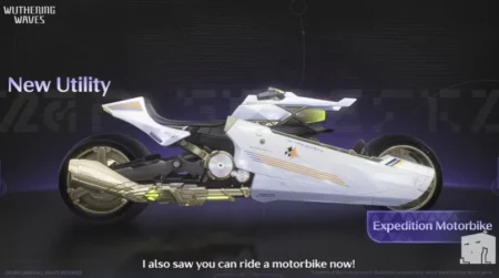 你想知道的一切 你想知道的一切