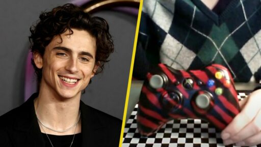 Timothée Chalamet 用于修改游戏手柄