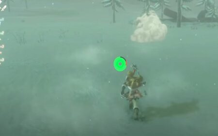 Short on rupees? Level up your wealth in Legend of Zelda: Breath of the Wild. Explore proven methods to earn rupees quickly and thrive!