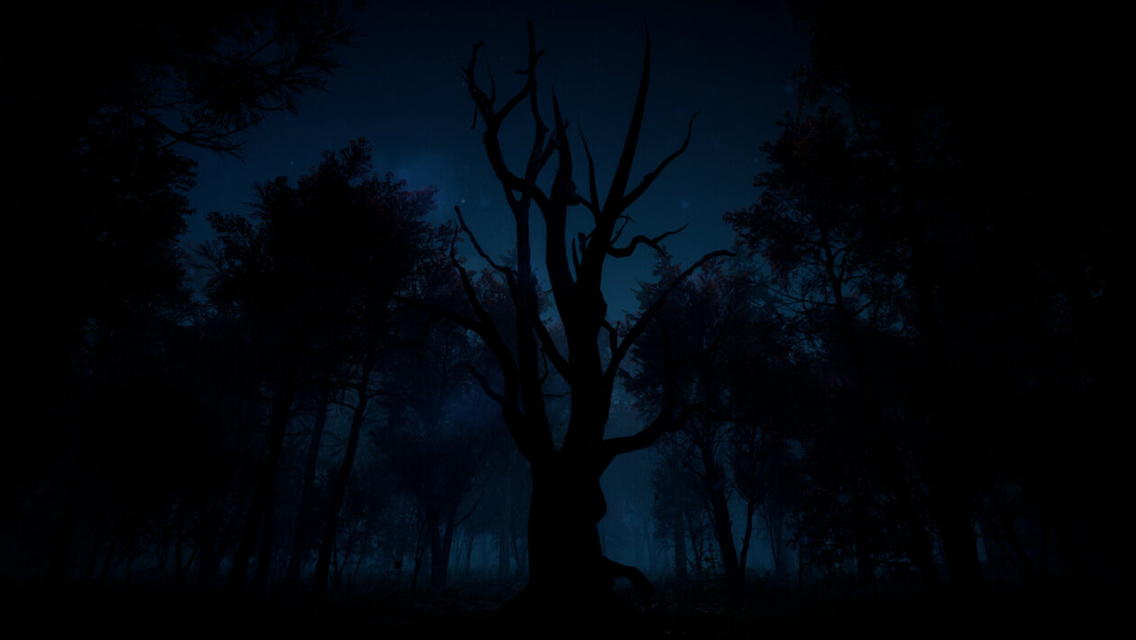 Slender: The Arrival（重制版），Blue Isle Publishing，Vyšel 重制版 Slender: The Arrival na Unreal Enginu 5