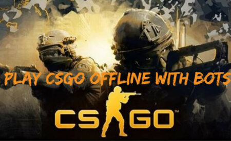 与机器人一起离线玩 CS GO