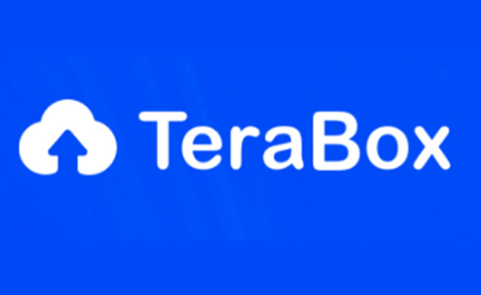 Terabox应用程序