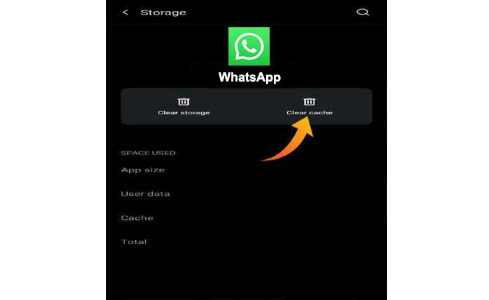 WhatsApp 不发送消息