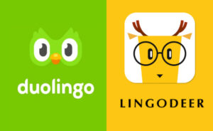 Duolingo 与 LingoDeer