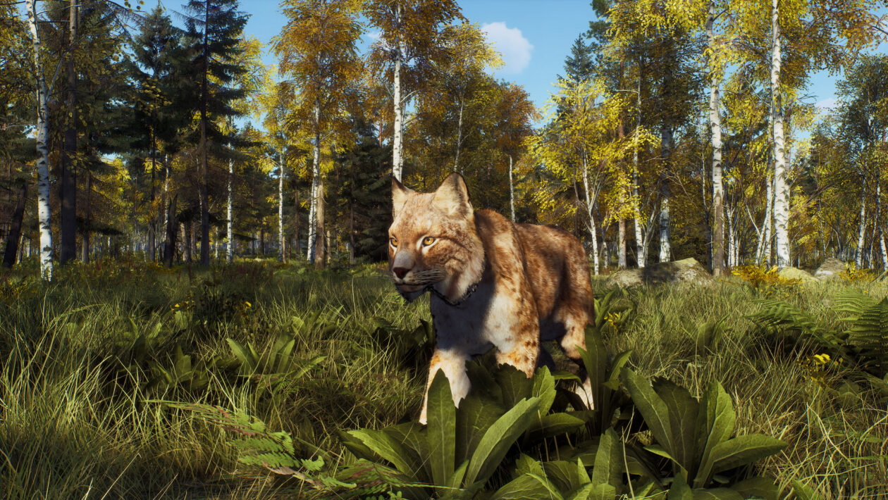 Way of the Hunter、THQ Nordic、Nine Rocks 宣布为斯洛伐克狩猎模拟器提供额外 DLC