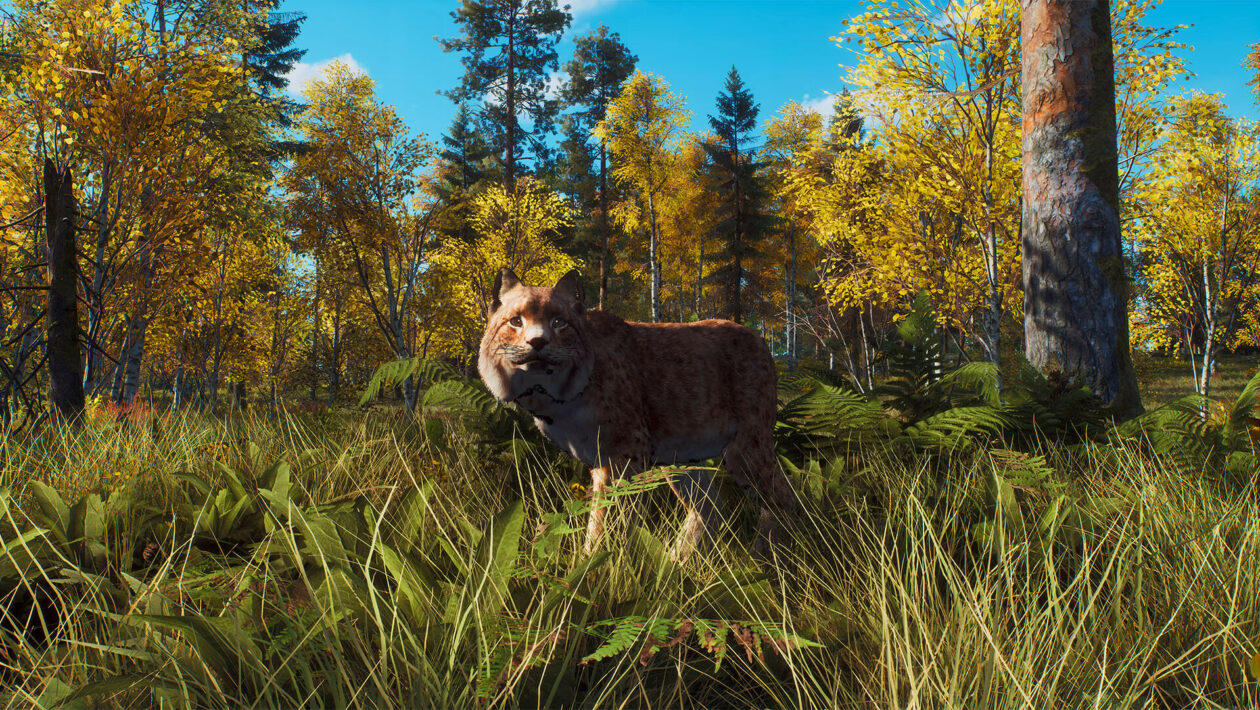 Way of the Hunter、THQ Nordic、Nine Rocks 宣布为斯洛伐克狩猎模拟器提供额外 DLC