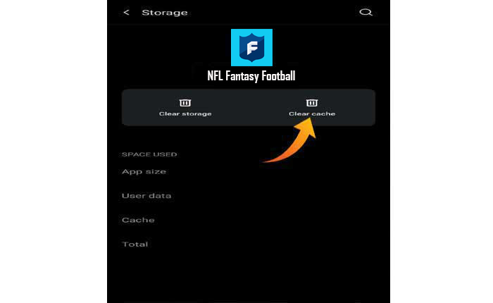 NFL Fantasy 应用程序不显示积分