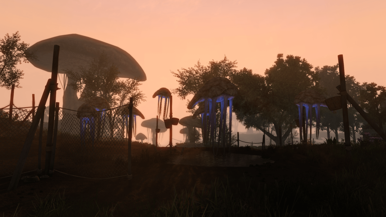 上古卷轴：Skyrim，Bethesda Softworks，Skywind拥有捷克字幕的新游戏玩法