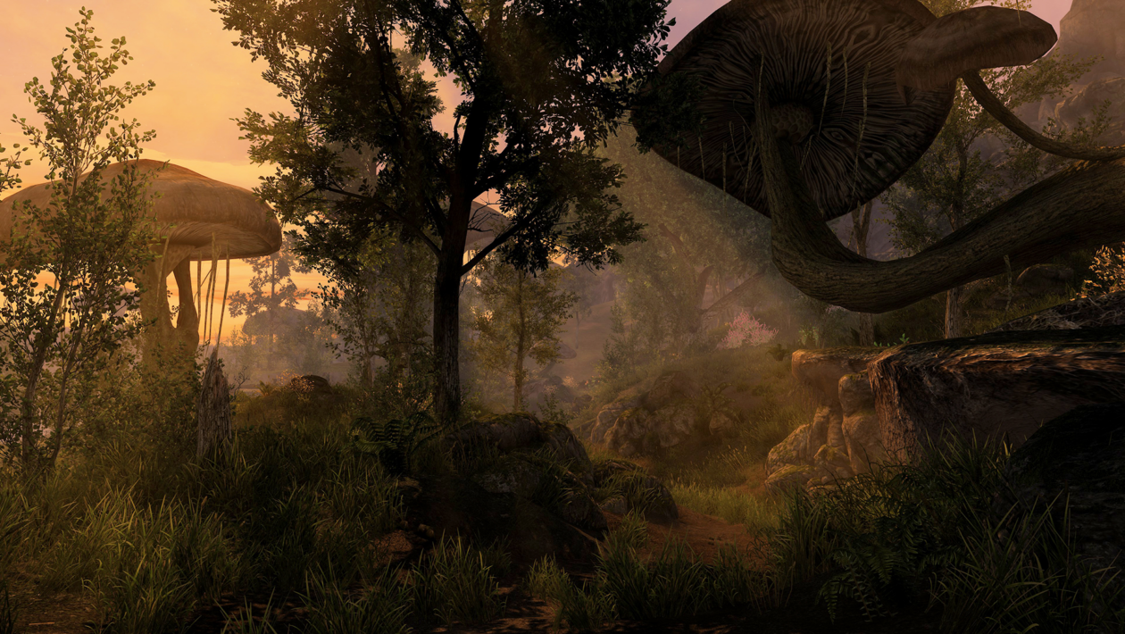 上古卷轴：Skyrim，Bethesda Softworks，Skywind拥有捷克字幕的新游戏玩法