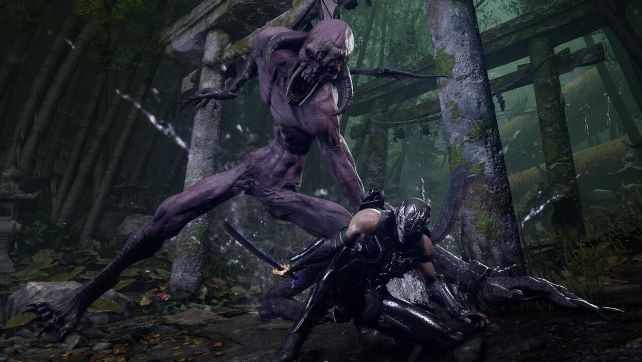 Ninja Gaiden 4，Xbox Game Studios，作者透露了Ninja Gaiden 4的大小