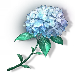 夏花如何获得？